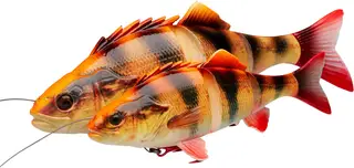 Savage Gear D Line Thru Perch 23cm 145g Albino