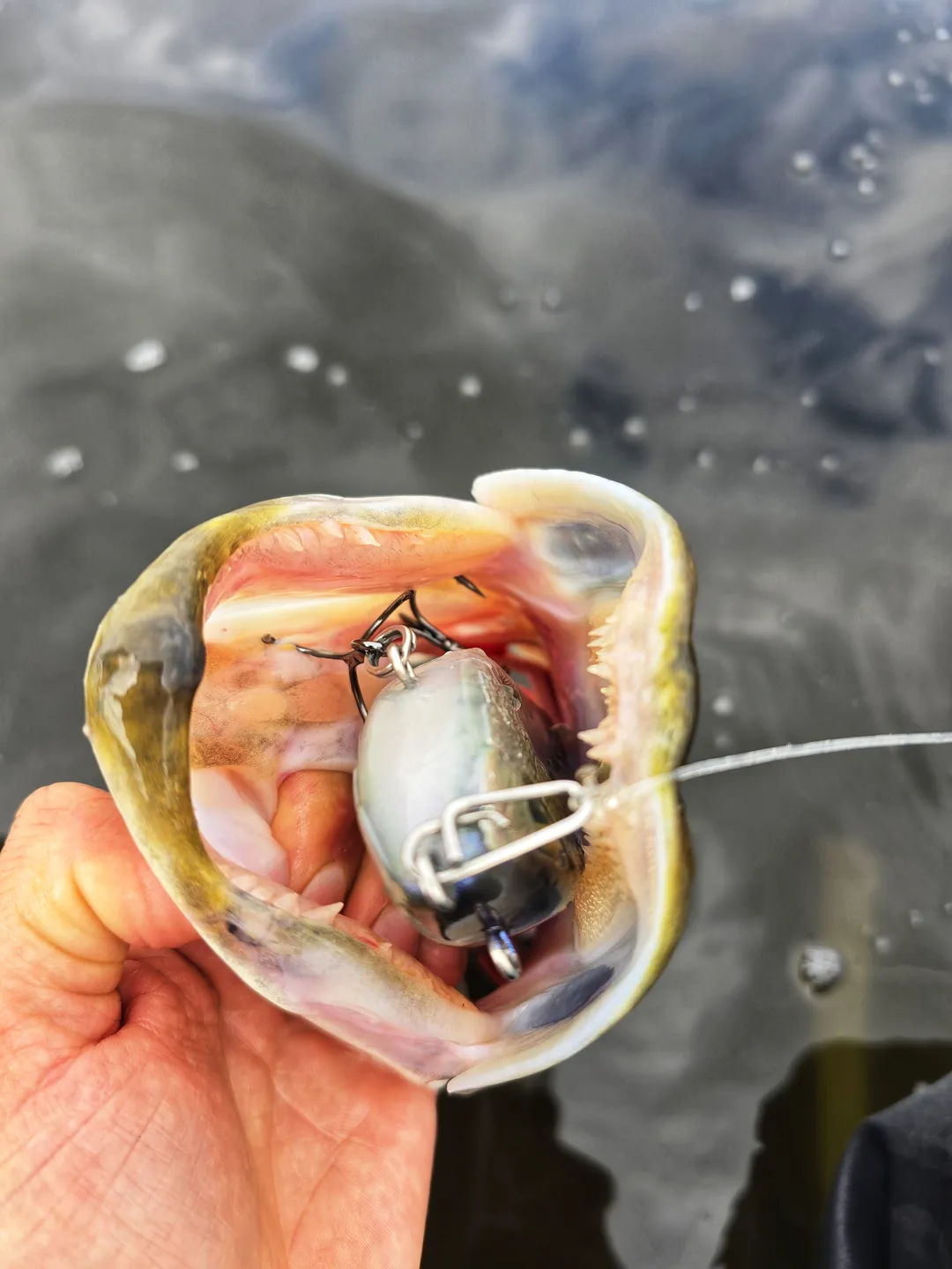 Savage Gear Deviator Tail Tail baits & hybrid baits 20cm 87g 0.5–2m Clear Herring