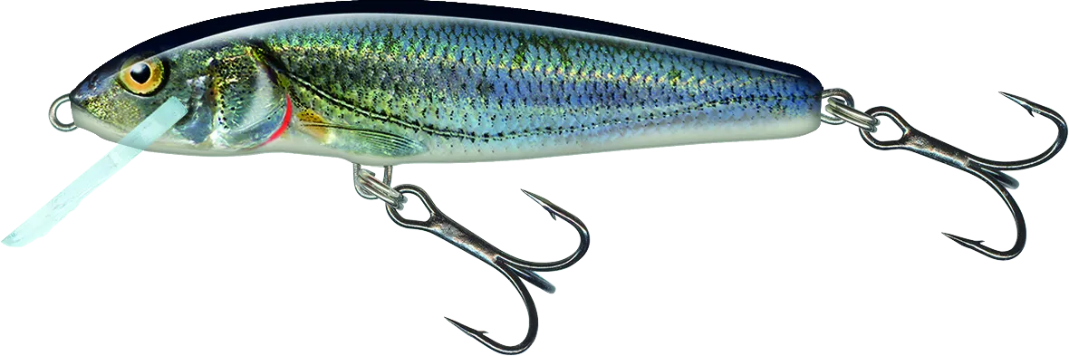 Salmo Minnow 6cm 1.0–1.5m 6g Spirlin