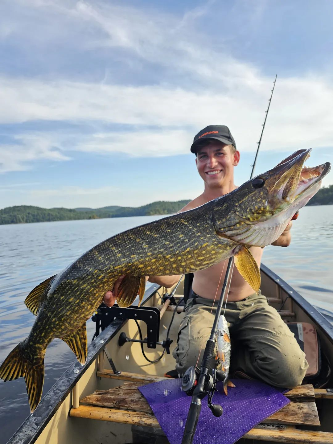 Savage Gear 4D Line Thru Roach - 32cm, 445g, Roach, Moderate Sink