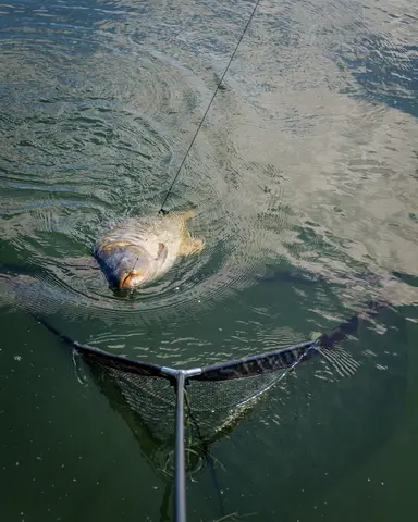 Fox Horizon X4S Kescher 107cm Camo Mesh High Modulus Carbon