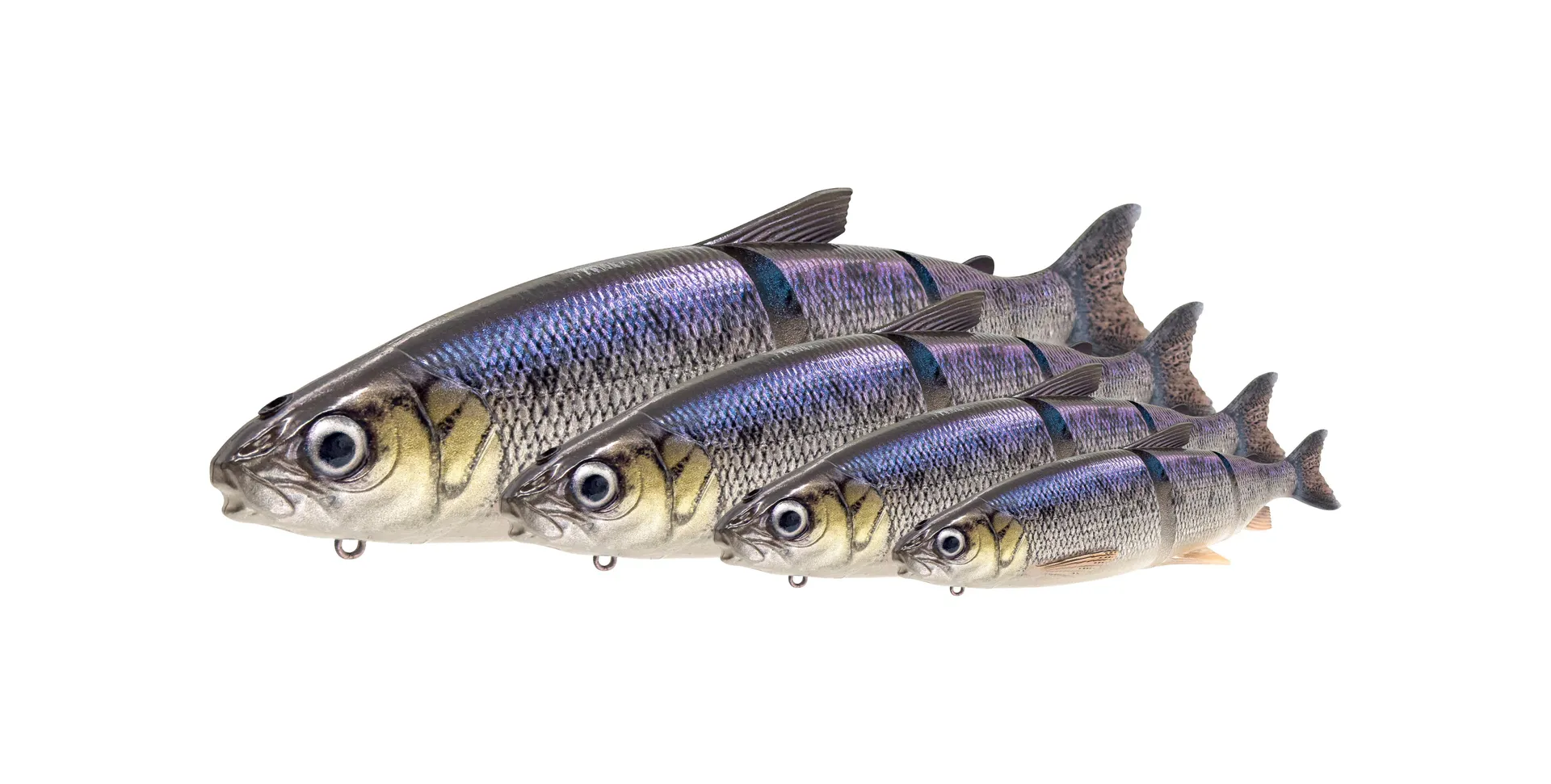 Savage Gear 3D Line Thru Whitefish Weicher Köder 36cm/478g MS Fire Wf