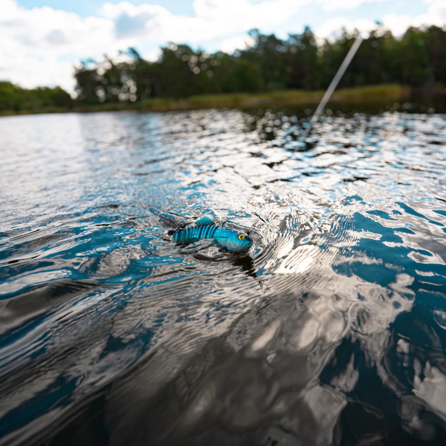 Fox Rage Jointed Replicant 32cm 355g Blue Shiner UV