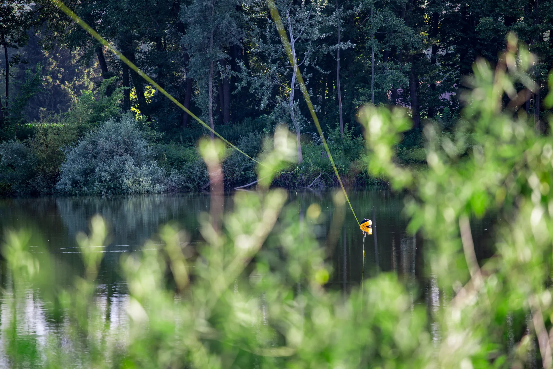 Black Cat Zeus Line G2 0.38mm 37kg 250m yellow