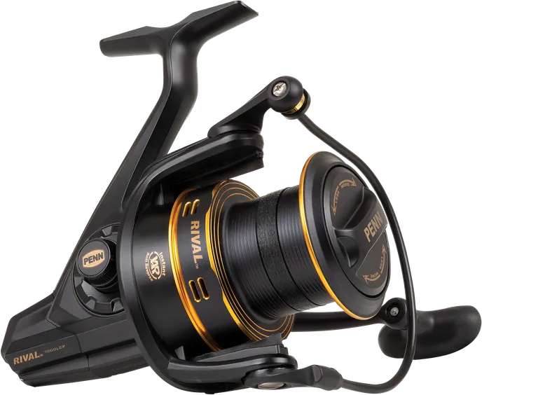 Penn Rival 6000LC Longcast Gold Baitrunners & Carp Reels 546g 8kg 4.8:1 Spinning
