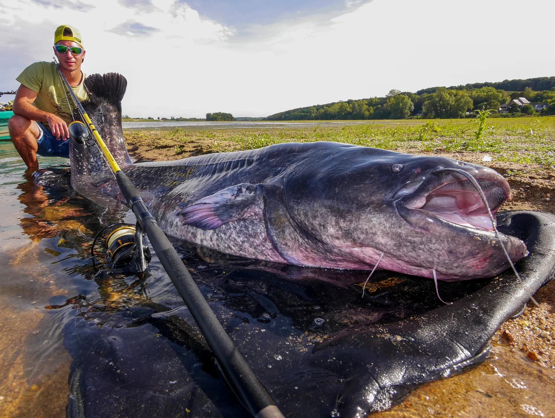 Black Cat Black Passion G2 Allround Rute 2.7m Carbon