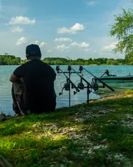 Fox Black Label QR Buzz Bar 3 Rod Adjustable 25–28cm Aluminium