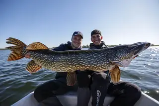 Flachwasserköder für Hechte