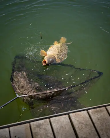 Fox Horizon X4S Kescher 117cm Camo Mesh High Modulus Carbon