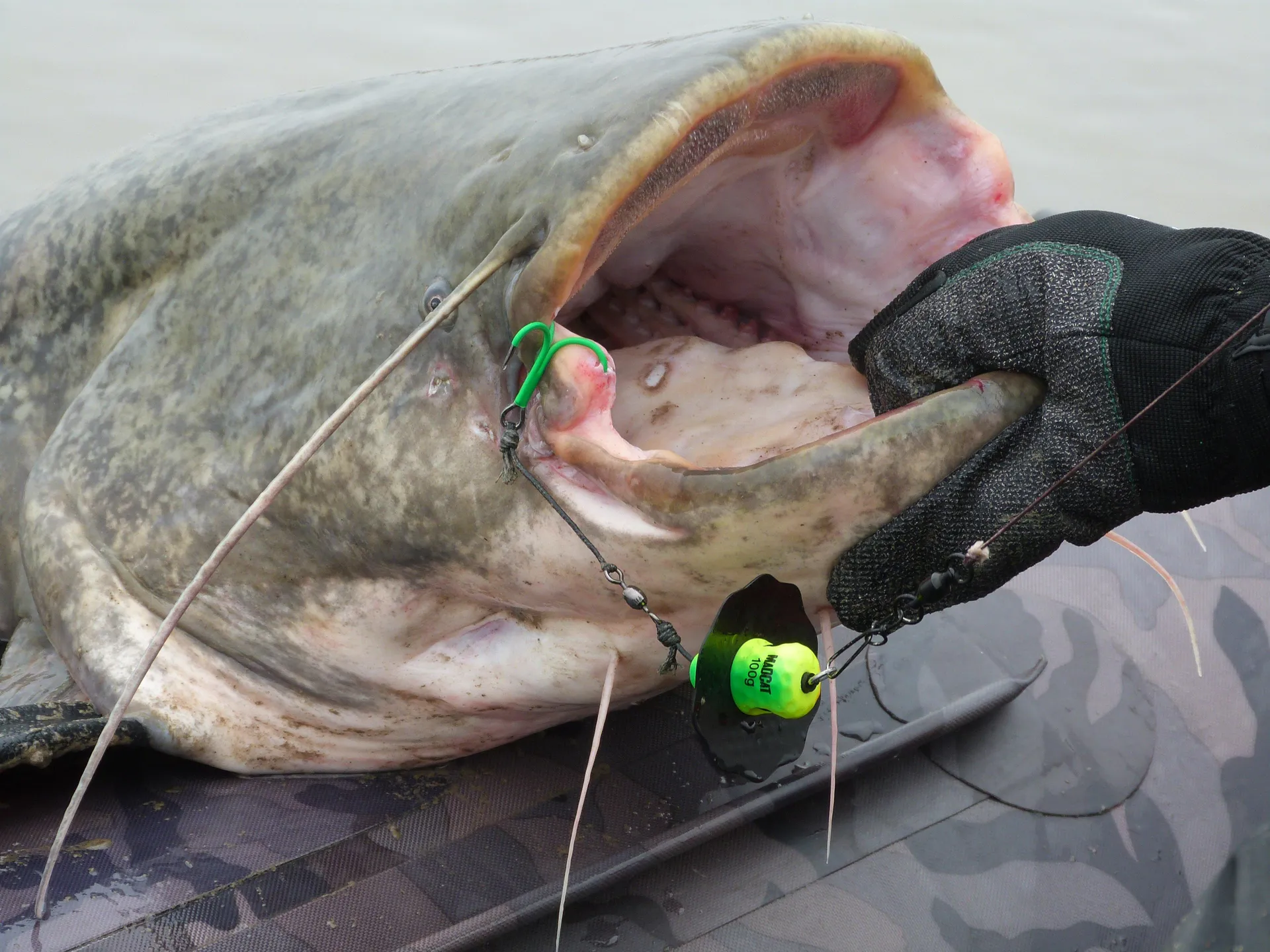 Madcat A-Static Silent Teaser 15.5cm 100g Firetiger UV