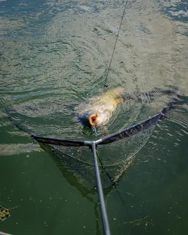 Fox Horizon X4S Kescher 107cm Camo Mesh High Modulus Carbon