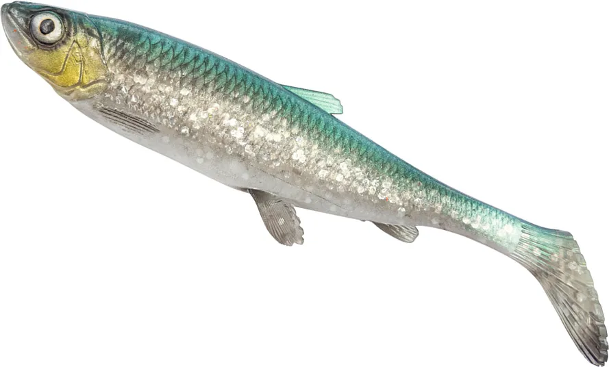 Savage Gear 3D Herring Shad V2 Weiche Köder 21.5cm 65g 1pc Green Silver