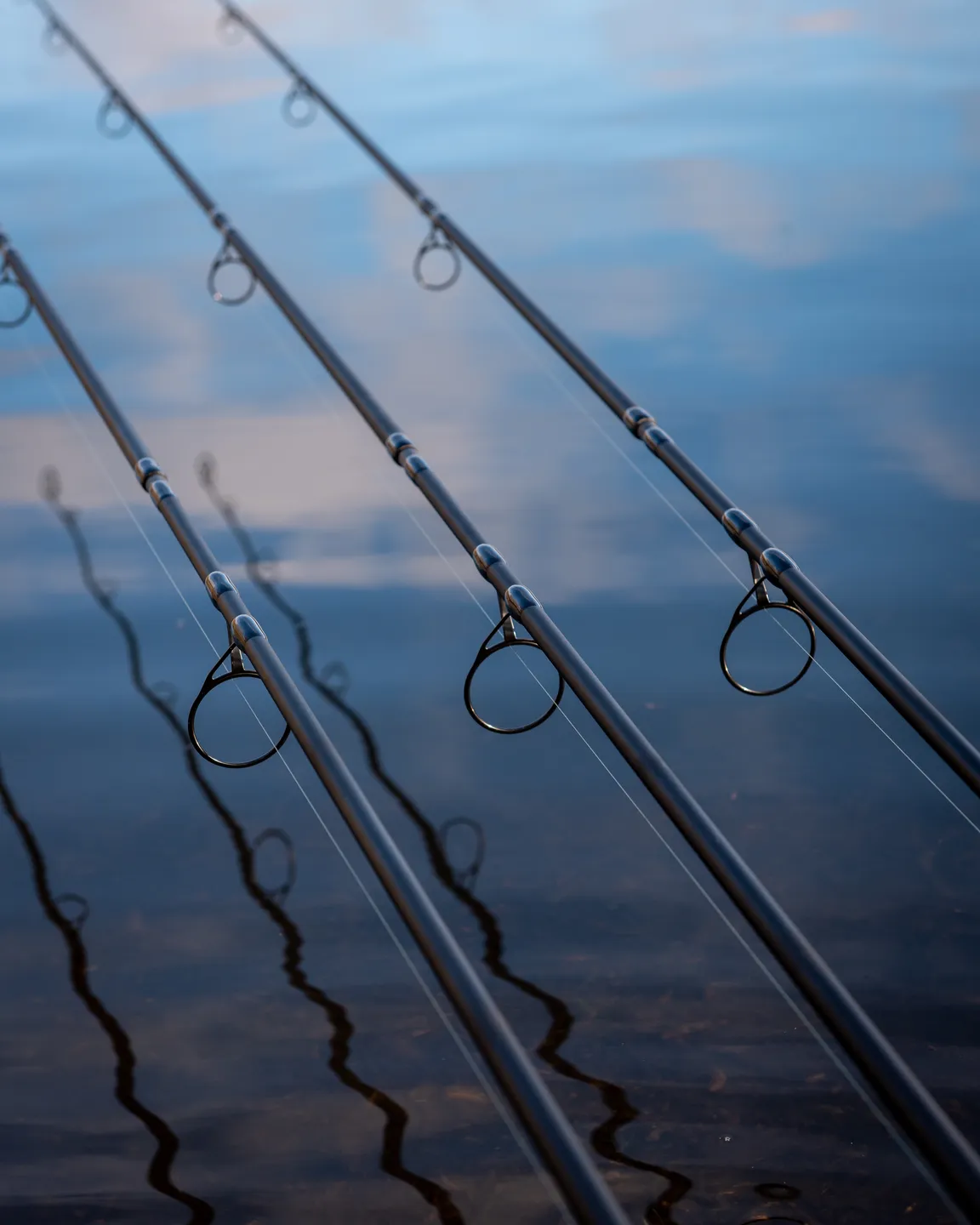 Fox EOS X Rod 3.66m 1475g