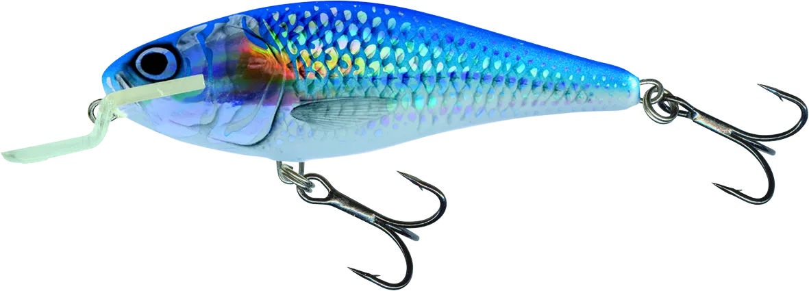 Salmo Executor Shallow Runner 12cm 2.5–5m 33g Holo Shiner