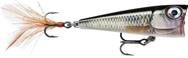 Rapala X-Light Pop 4cm 4.5g Live Roach
