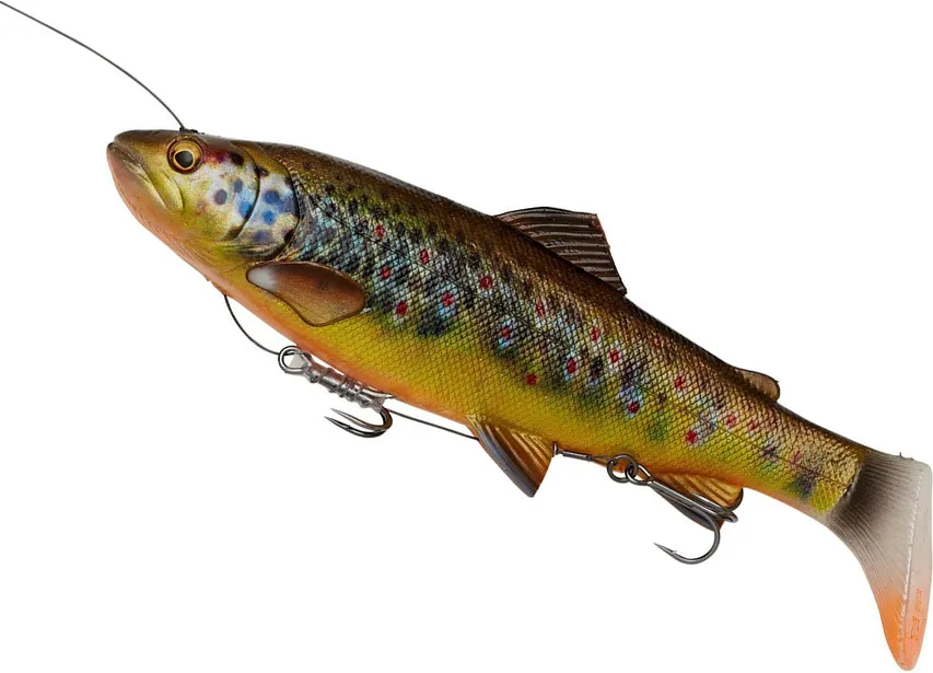 Savage Gear 4D LT RATTLE TROUT - 27.5cm, 228g, Slow Sink
