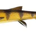 Savage Gear 3D Whitefish Shad - 23cm, 94g, Zander, 1pc
