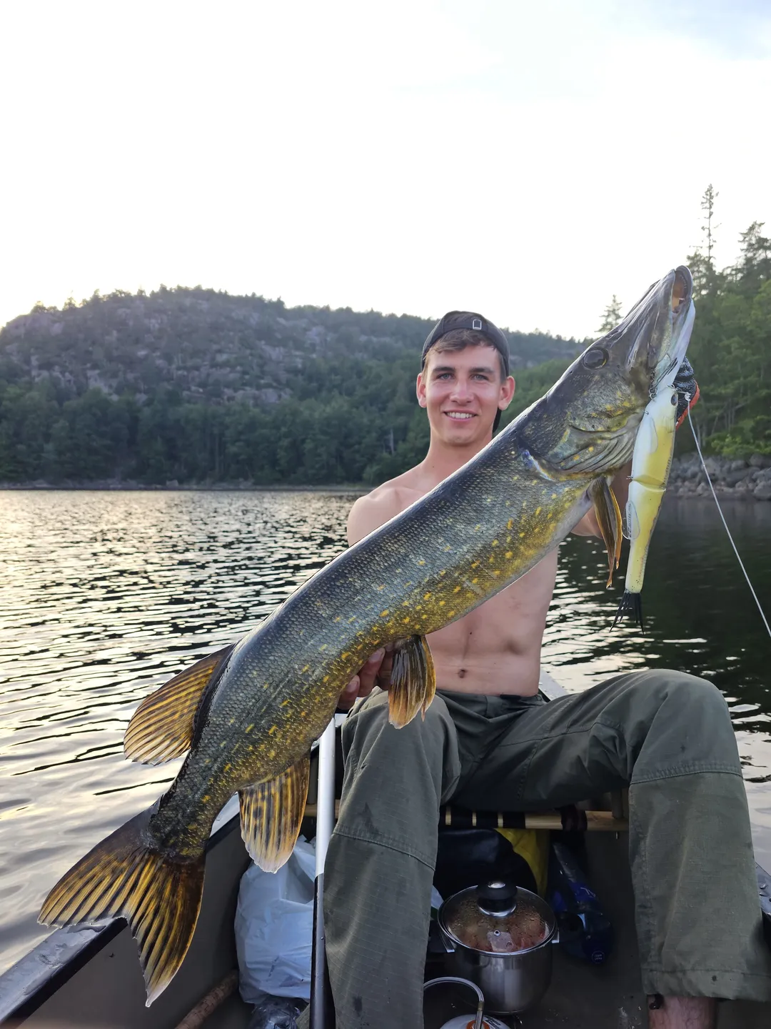 Berkley PowerBait Nessie - Perch, 22cm, 57g