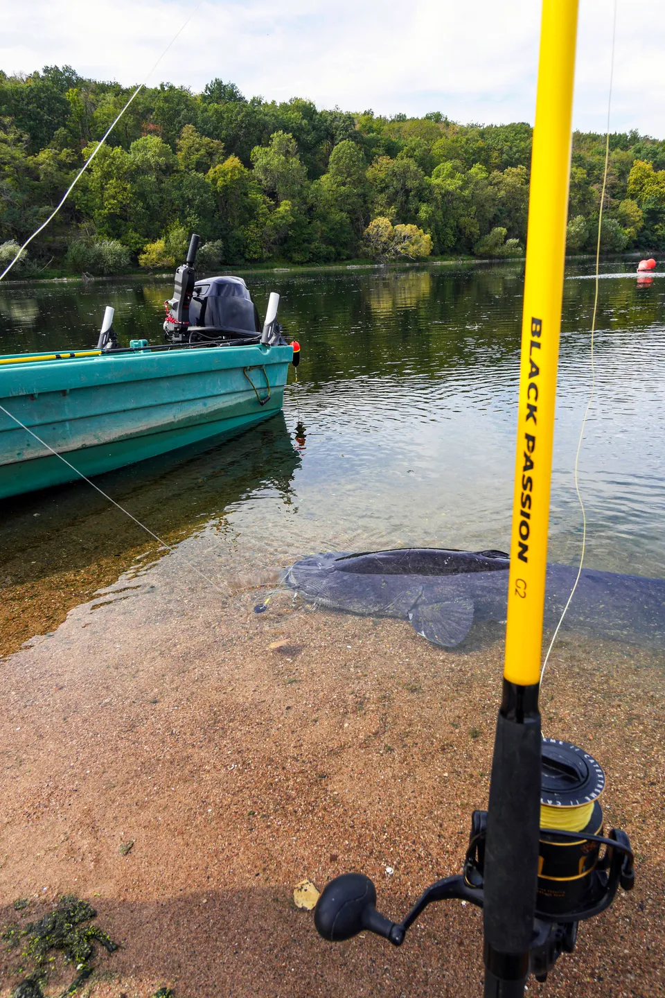 Black Cat Black Passion G2 Allround Rute 2.7m Carbon