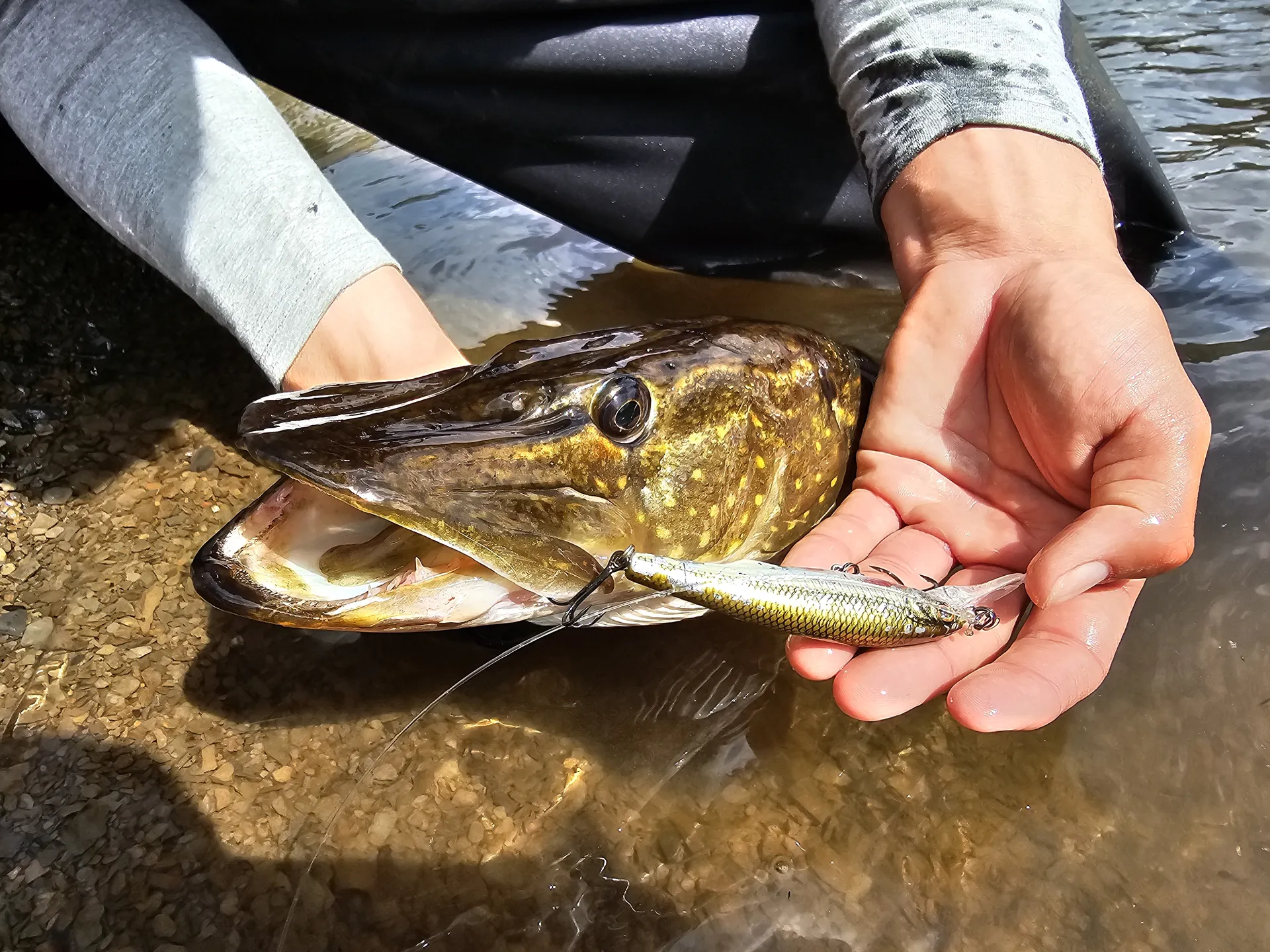 Savage Gear Gravity Twitch SR Crankbaits 9.5cm 15g 0.7–1.5m Suspending Dirty Roach