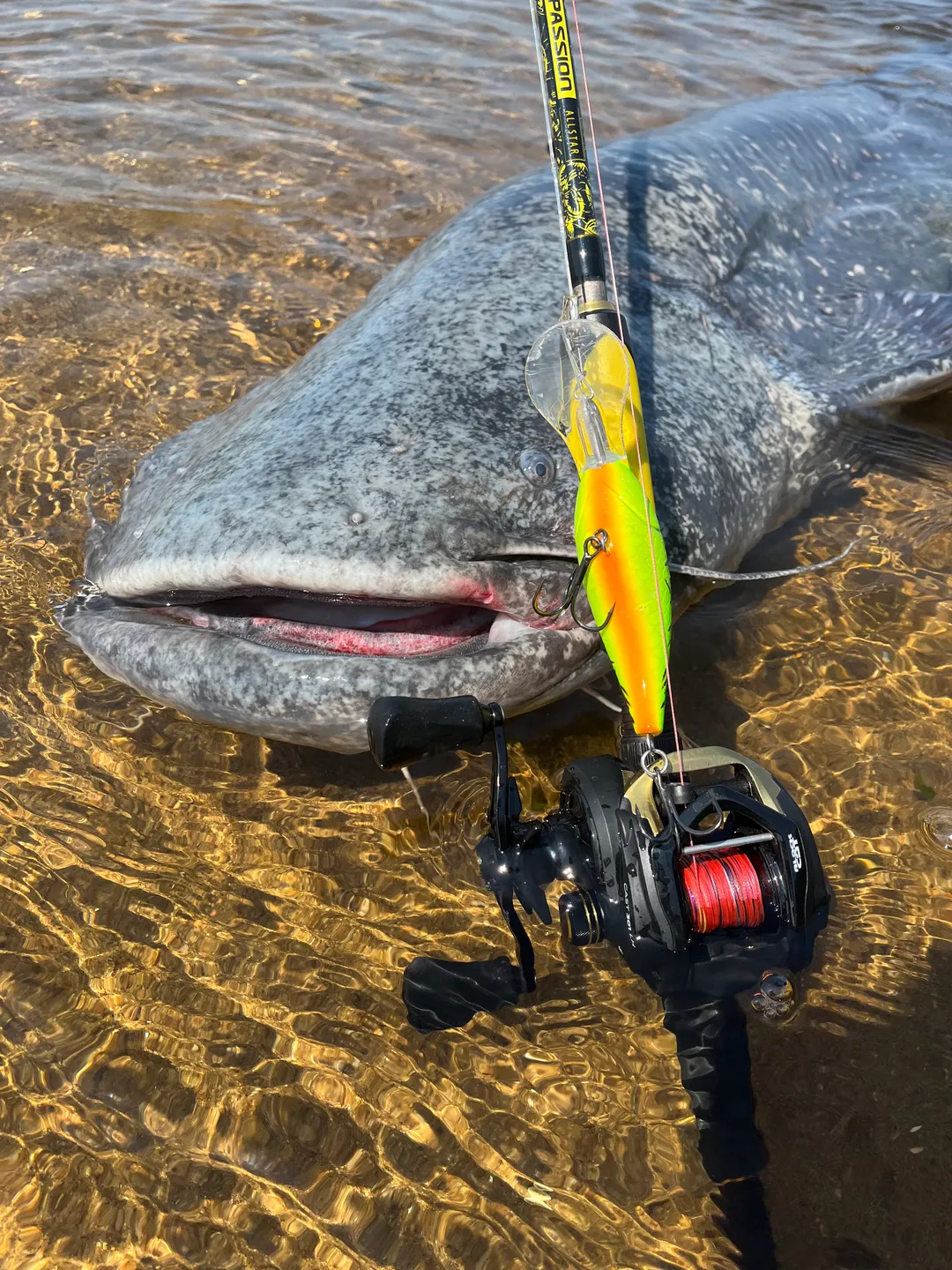 Black Cat Perfect Passion Allstar Cast Casting Rod 2.20m 30–130g 238g Semi-parabolic