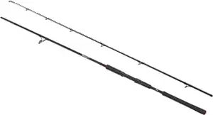 Abu Garcia Beast Pike 802H 2.44m 40–90g Fast