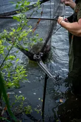 Fox Carpmaster Net Safe 3/8 BSF Thread