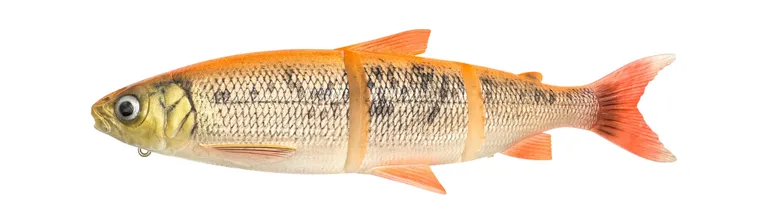 Savage Gear 3D Line Thru Whitefish Weicher Köder 36cm/478g MS Gold Albino