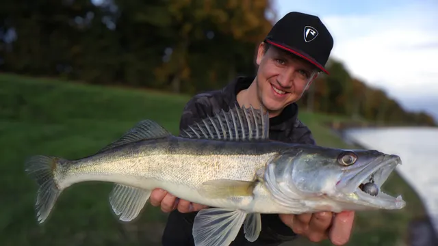 Alles was du für das Kanalangeln brauchst! 