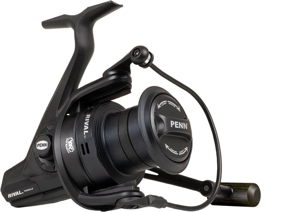 Penn Rival Baitrunners & Carp Reels 6000LC 583g 8kg 87cm Spinning