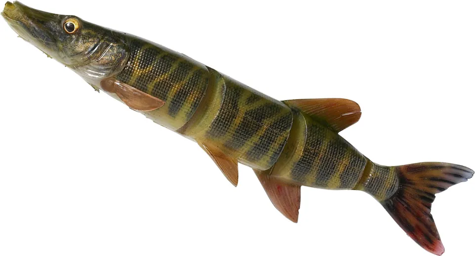 Savage Gear 4D Line Thru Pike Swimbait 25cm 105g Slow sinking Striped Pike