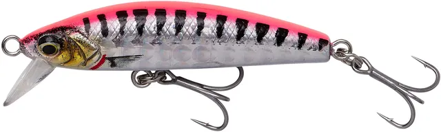 Savage Gear Gravity Minnow 5cm 8g FS Pink Barracuda Photo Print