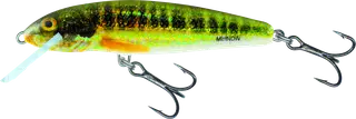 Salmo Minnow Sinking 5cm 5g Holo Real Minnow