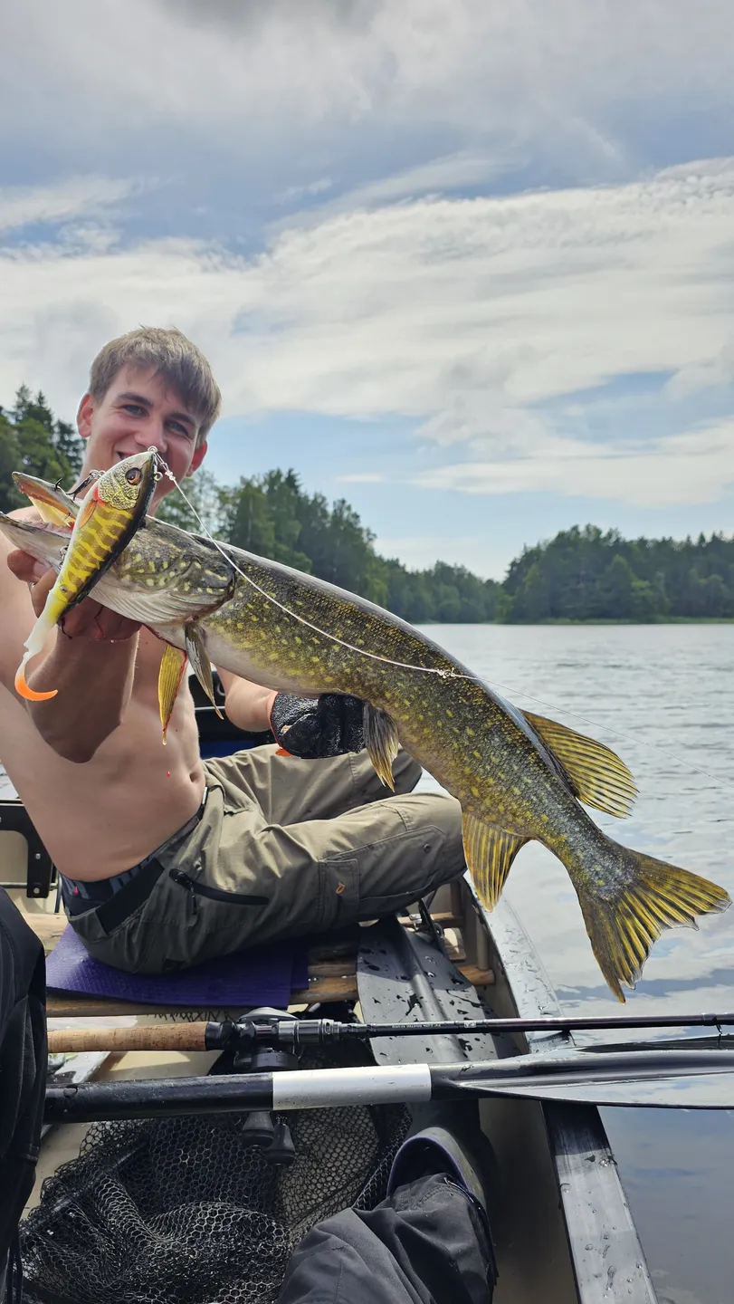 Savage Gear Deviator Tail Tail baits & hybrid baits 20cm 87g 0.5–2m Clear Herring