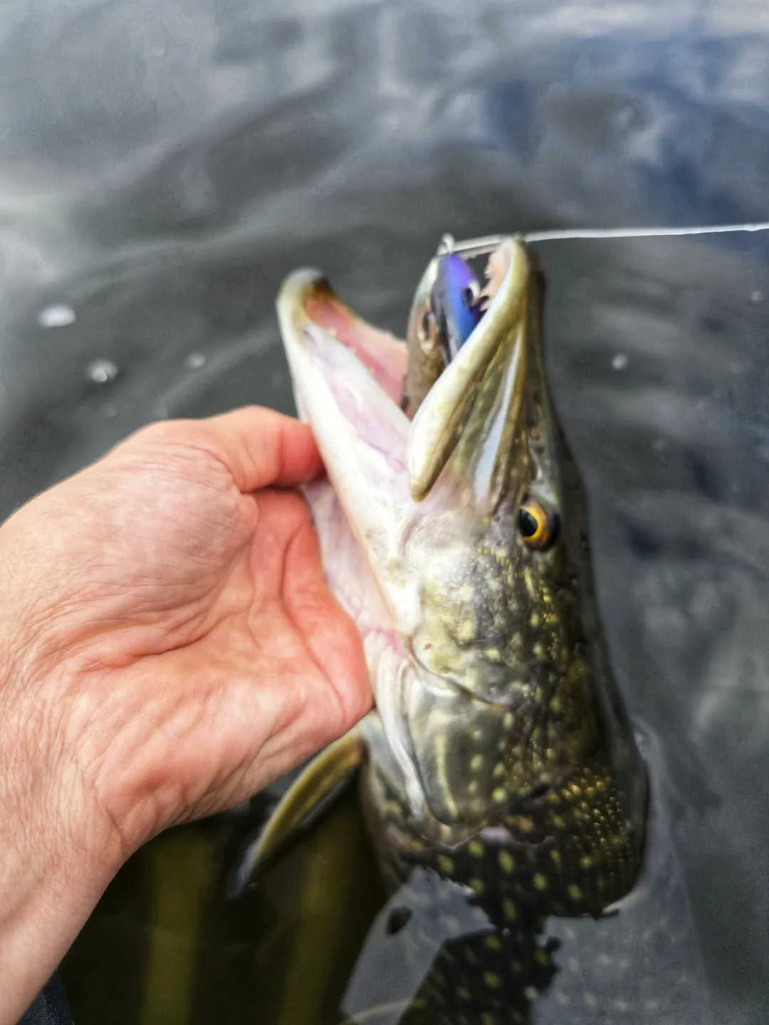 Savage Gear Deviator Tail Tail-Köder & Hybrid-Köder 20cm 87g 0.5–2m Clear Herring