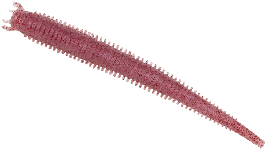 Berkley Gulp! Saltwater Fat Sandworm 10cm Clear Red Fleck