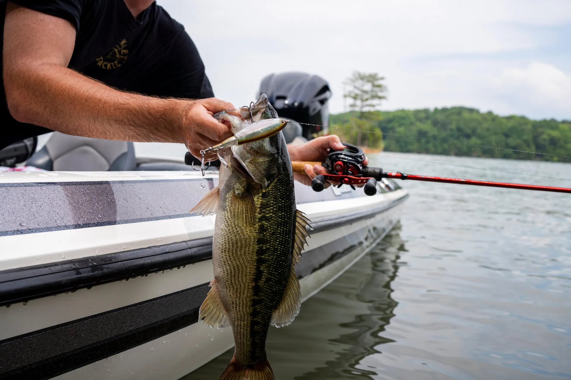 Berkley Choppo Topwater 90mm GHBGL Freshwater HK