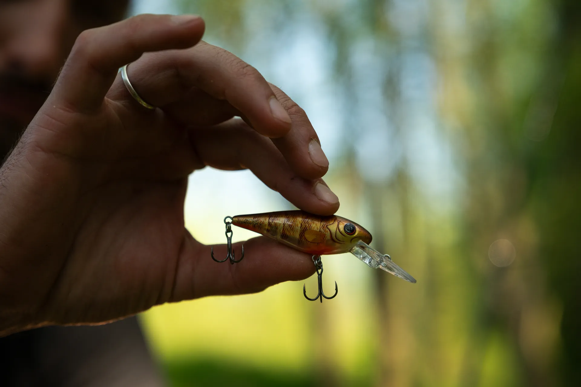 Salmo Rattlin Executor SDR 5cm 5.5g 1.2–2.7m Brown Perch