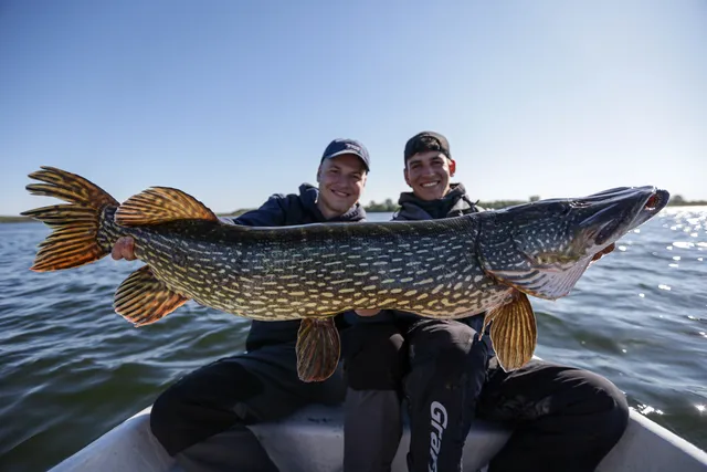Flachwasserköder für Hechte