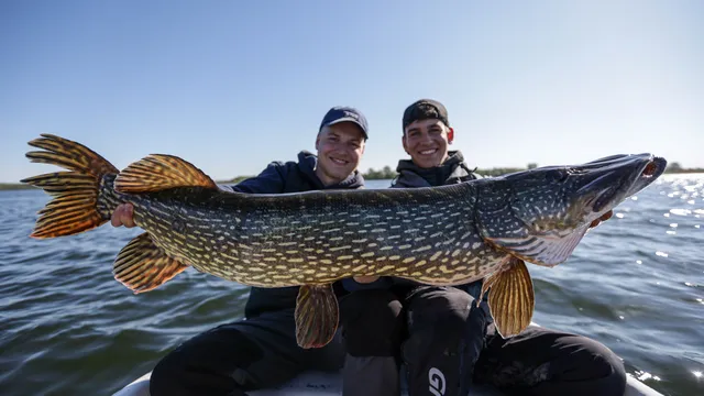 Flachwasserköder für Hechte