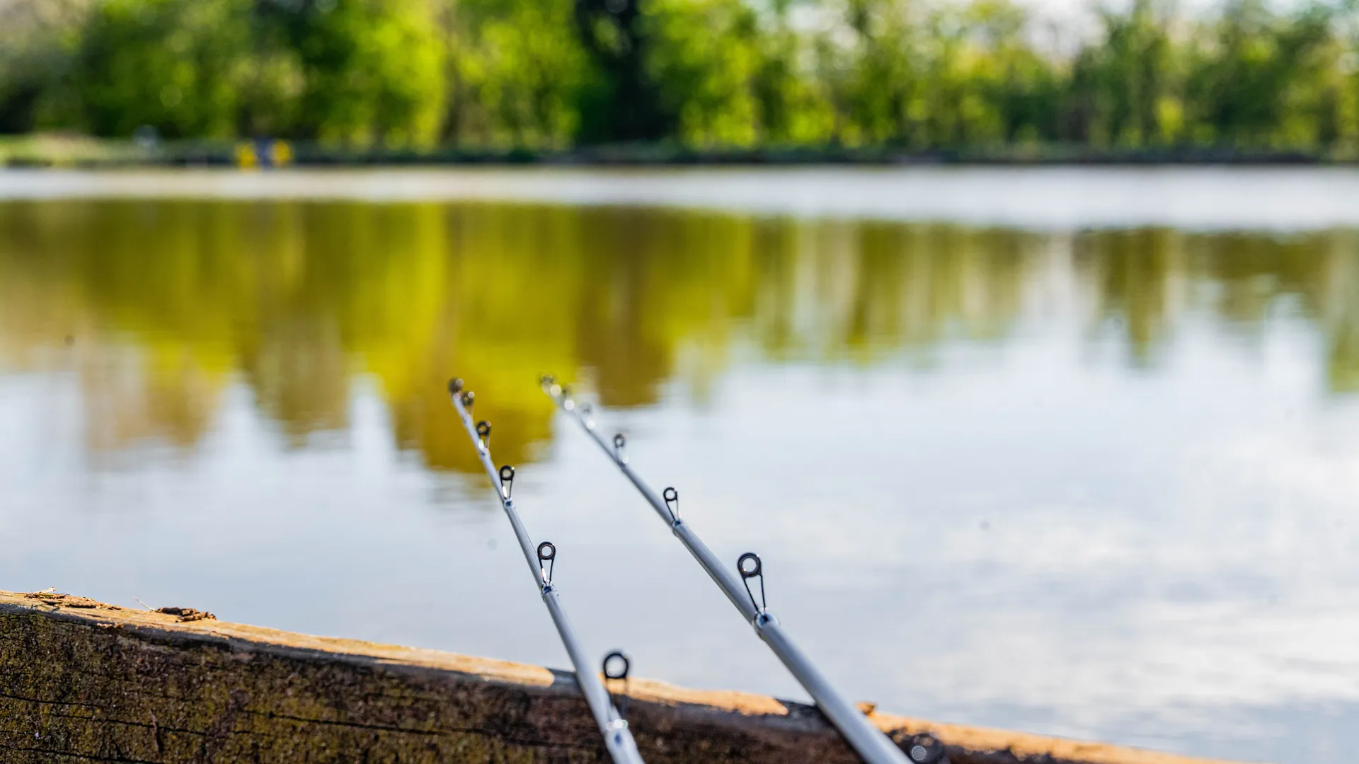 Preston Dura Pellet Waggler 3.05m 4–12g 157cm